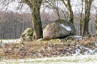 Hünengräber Sassen 4 3.jpg
