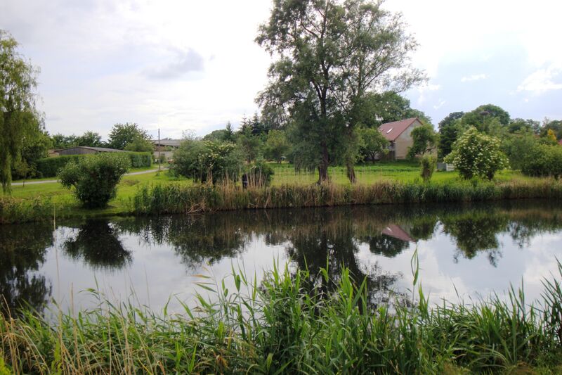 Datei:Dorfteich 1.jpg