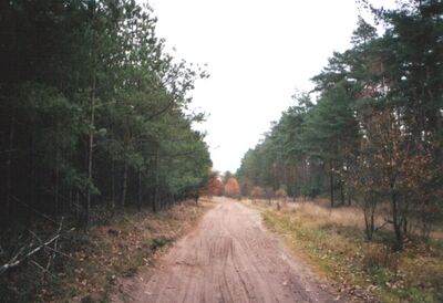 Hühnerbusch-Kuhlenfeld.Postweg.jpg