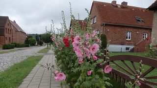 Blick in die Feldstraße - Hier stehen die Gebäude alter Baumeister aus der zeit der Hochblüte der Wasserheilanstalt