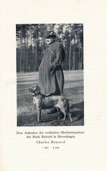 Datei:Kolp Nordöstliche Heide 000n.jpg