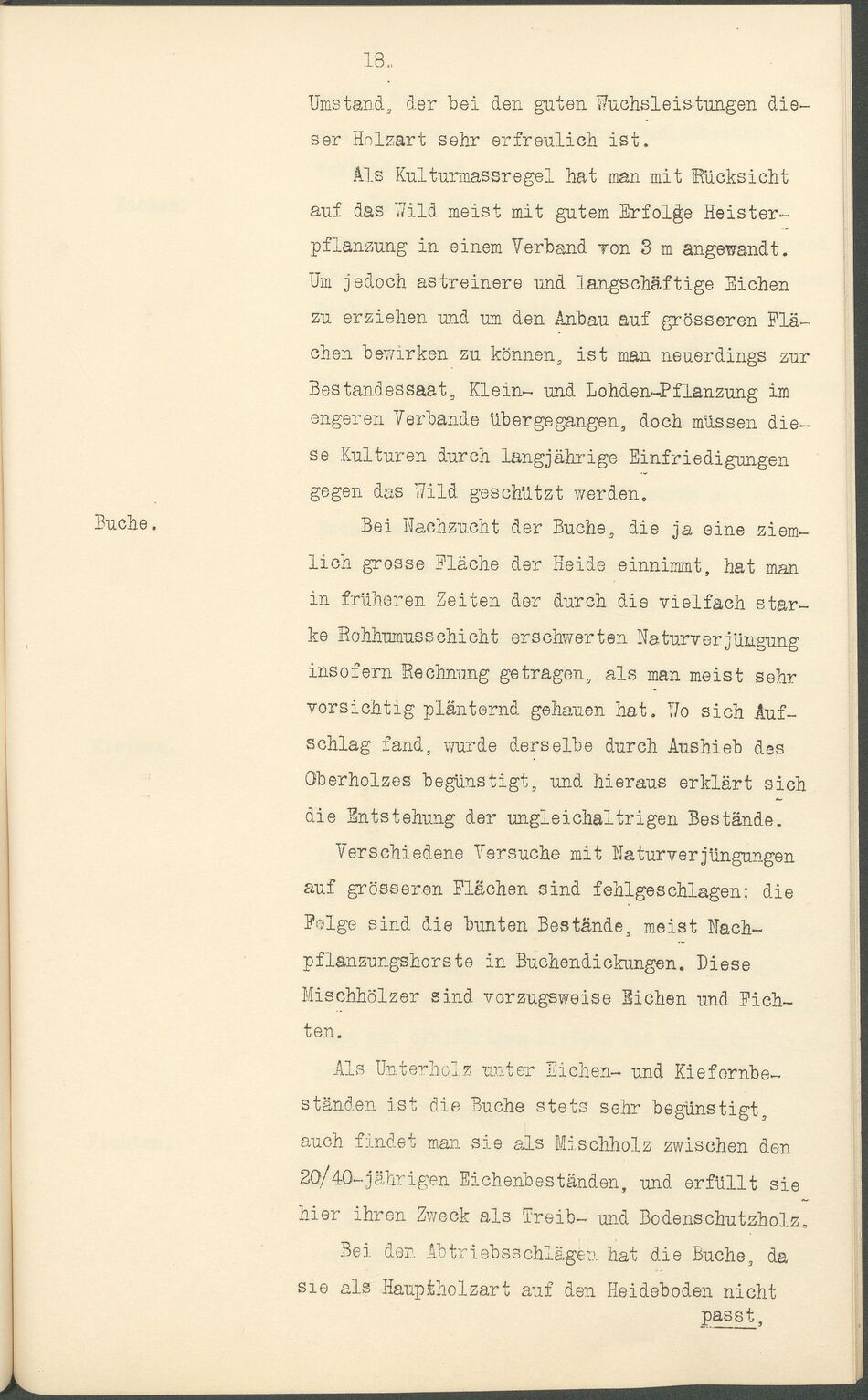 Max Garthe Allg. Beschreibung der Rostocker Stadtforst 1911 18