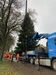 Bömitz Weihnachtsbaum 2.jpg