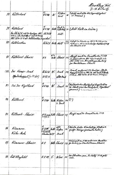Datei:F Hirschb FL 09.jpg