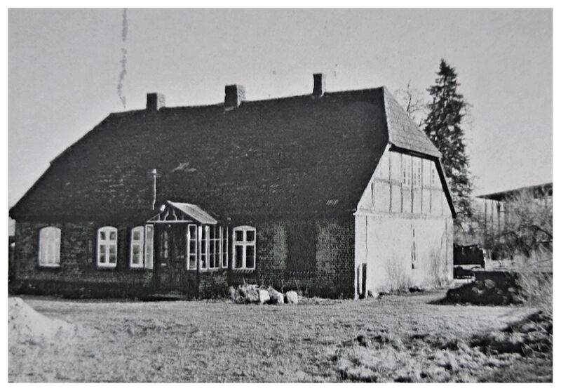 Datei:Goldenbow Hufe 8 .jpg