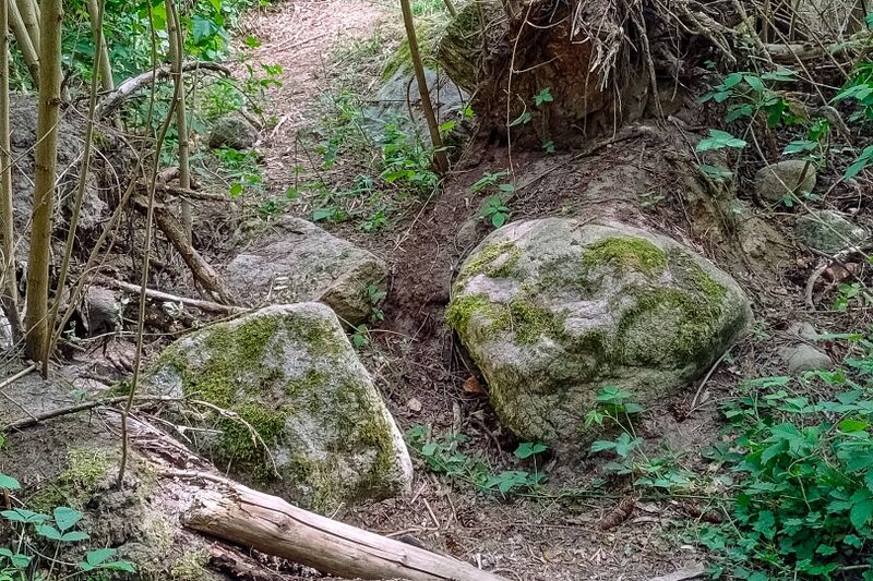 Datei:Hünengräbe Wendhof 3.jpg