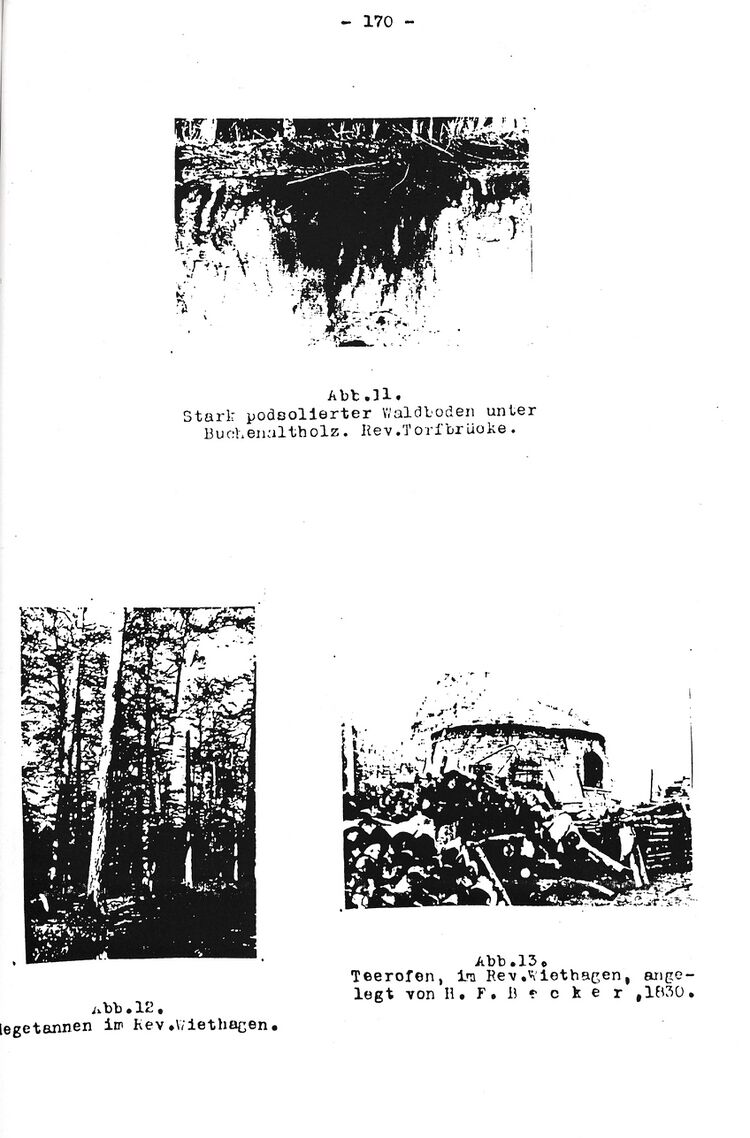 RH Oelsnitz Forstwirtschaftsgeschichte NÖM 1955 170