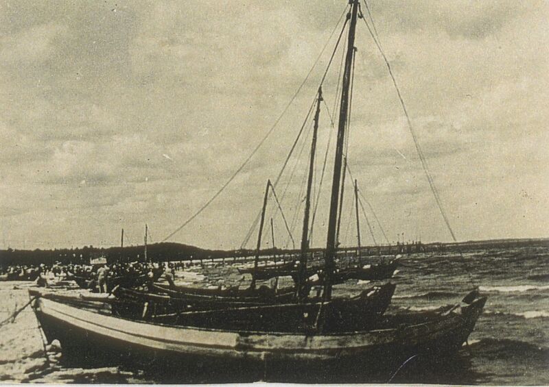 Datei:0099.jpg