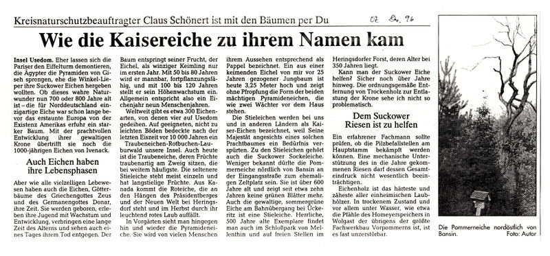 Datei:1996 Eichen.jpg