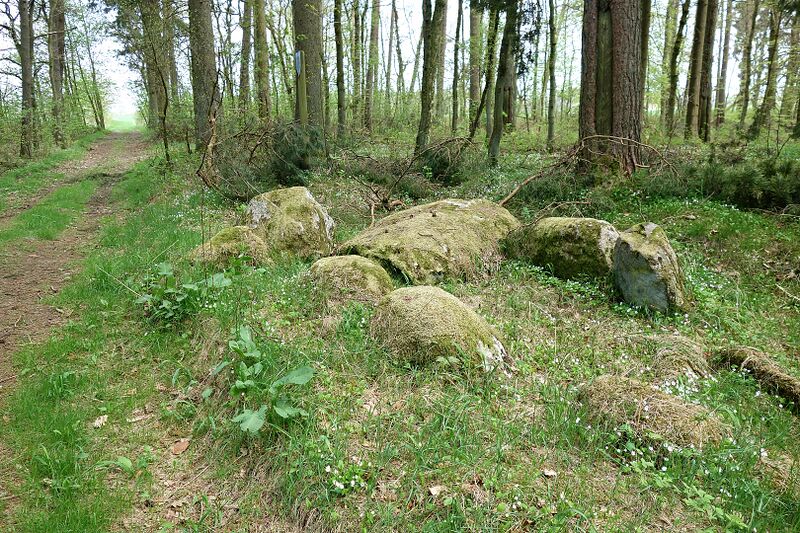 Datei:Hünengräber Barkvieren 4.jpg