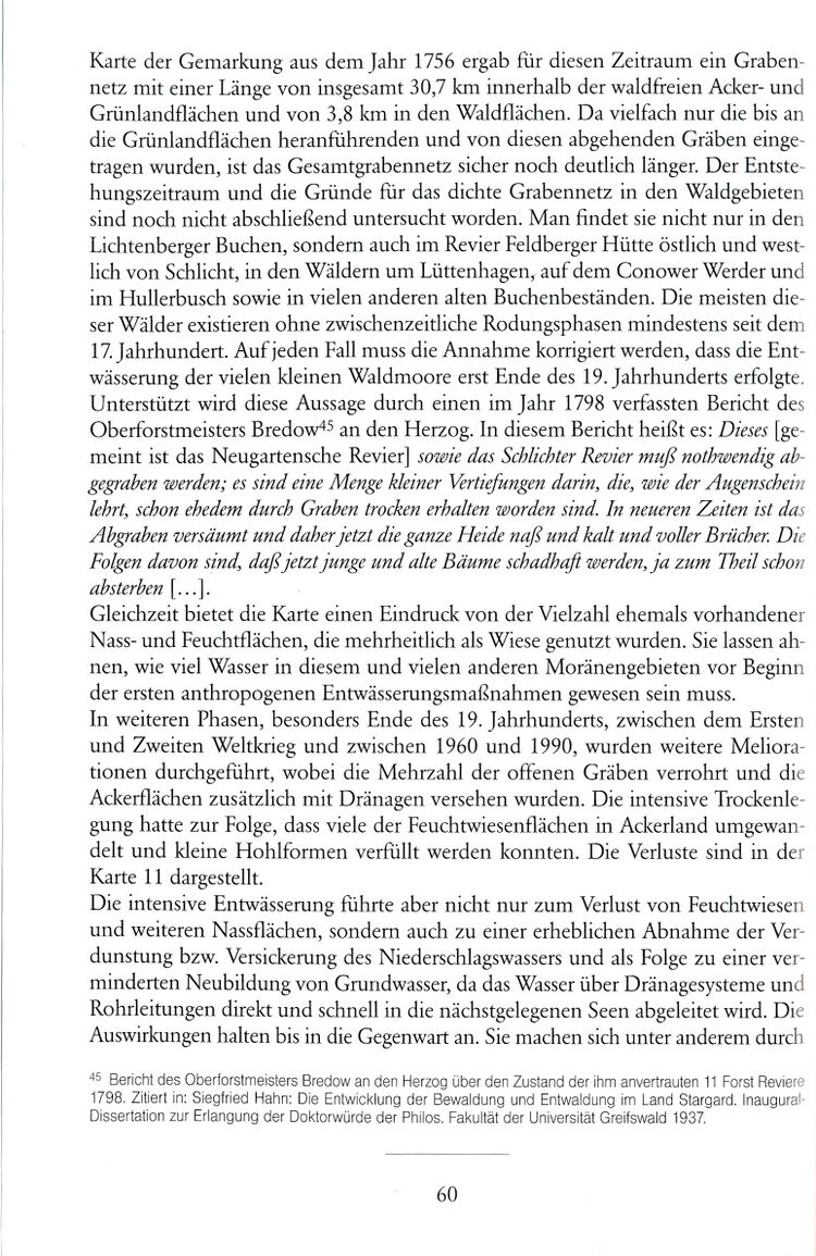 Stella Feldberg 60