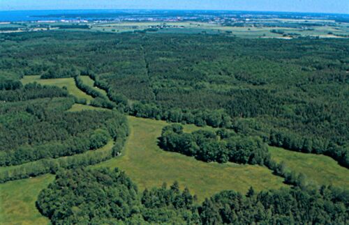 Willershagen Rev Mittagskavel und Grot Wisch am Haubach Übergang des Ribnitzer Landweges (Foto: Wilfried Steinmüller 2002