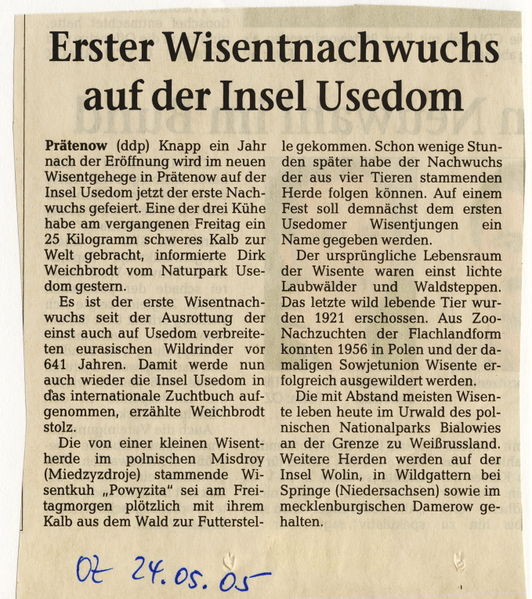 Datei:2005 Wisent 05 b.jpg