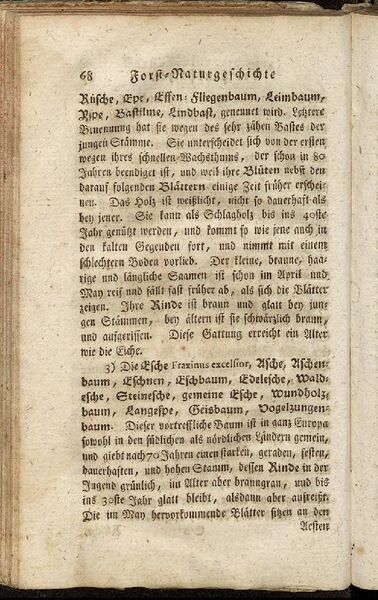 Datei:Fiedler Handbuch Forstwirtschaft 1796-077.jpg