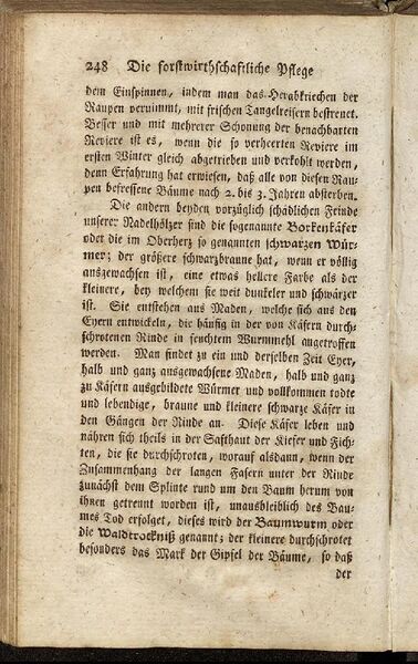 Datei:Fiedler Handbuch Forstwirtschaft 1796-257.jpg