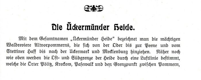 Ückermünder Heide Heinrich Kohlmann 1904 S89