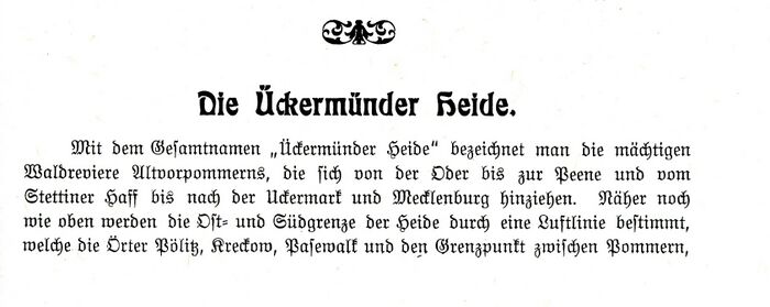 Ückermünder Heide Heinrich Kohlmann 1904 S89