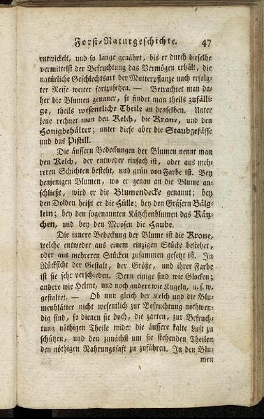 Datei:Fiedler Handbuch Forstwirtschaft 1796-056.jpg