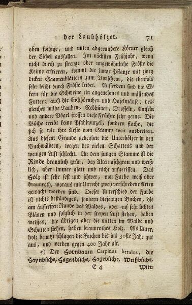 Datei:Fiedler Handbuch Forstwirtschaft 1796-080.jpg