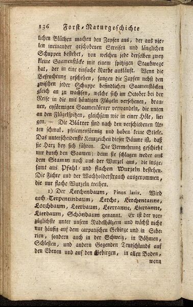 Datei:Fiedler Handbuch Forstwirtschaft 1796-145.jpg