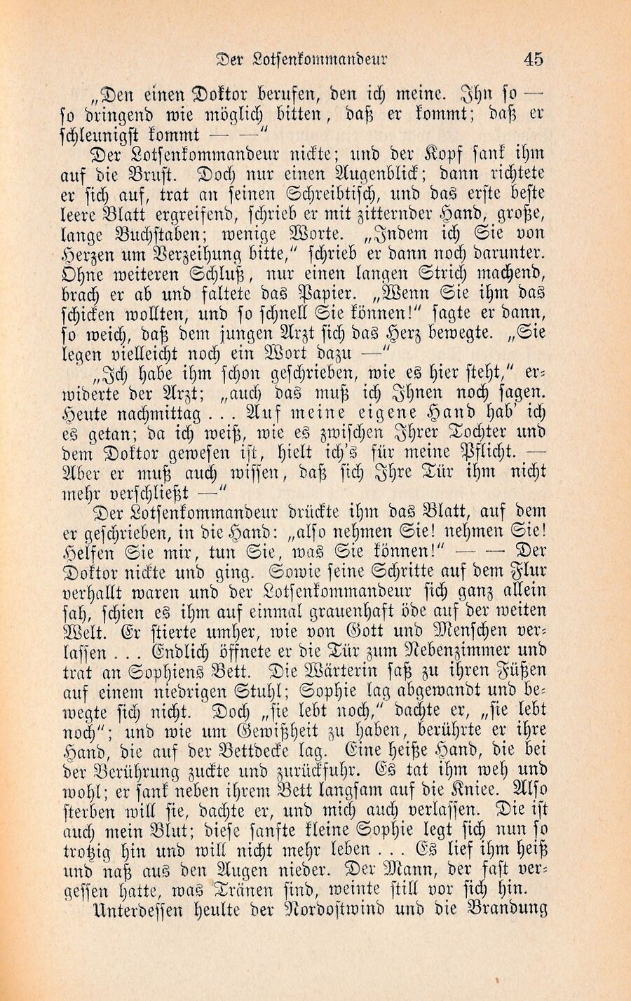 Wilbrandt Ausz Lotsenkommandeur 1877 45