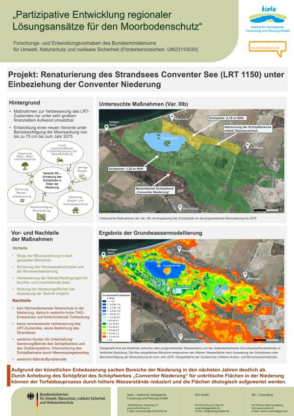 Boergerende-Rethwisch-2025-06-Renaturierung VIIIb.jpg