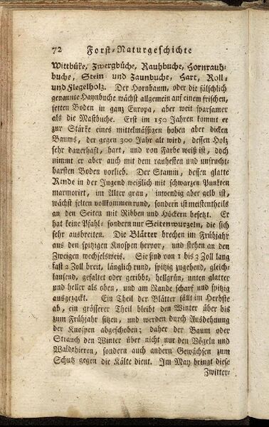Datei:Fiedler Handbuch Forstwirtschaft 1796-081.jpg