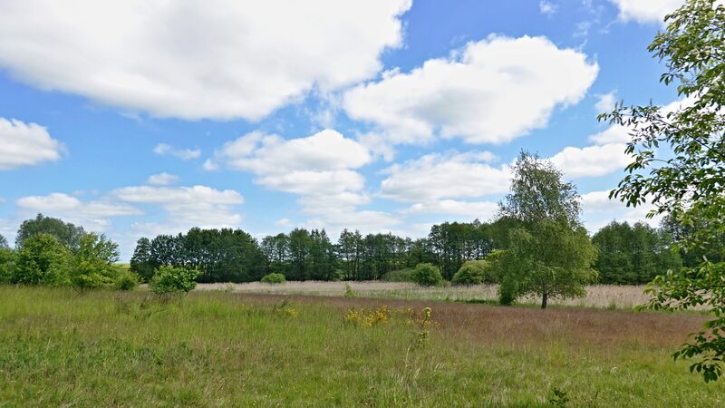 Datei:Goldenbow Landschaft.jpg