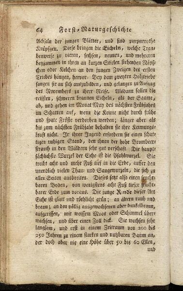 Datei:Fiedler Handbuch Forstwirtschaft 1796-073.jpg