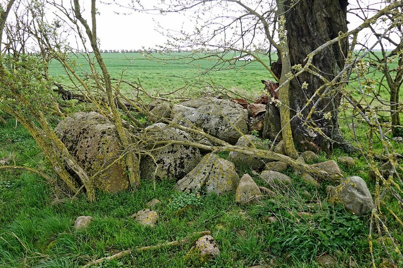 Datei:Hünengräber Groß Zastrow 7 2.jpg