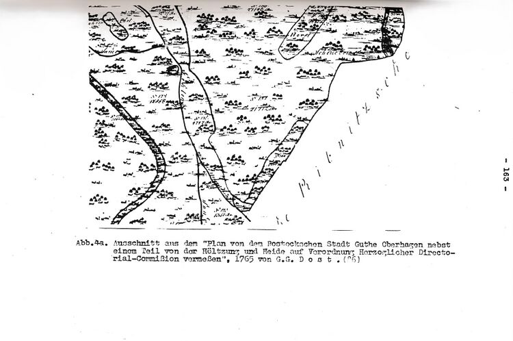 RH Oelsnitz Forstwirtschaftsgeschichte NÖM 1955 163