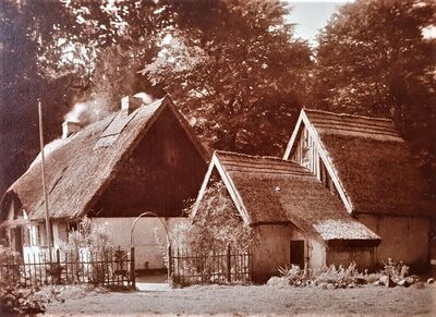 Das Waldhaus 1931(HA)