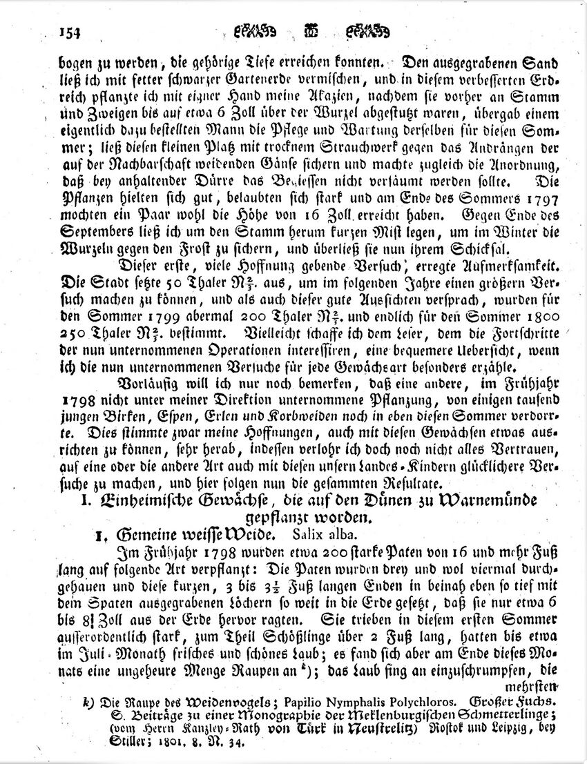 1801 Karsten Wmde Düne 155