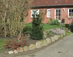 Bild 236 sonst.jpg