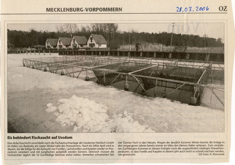 Datei:2006 Eis Fische.jpg