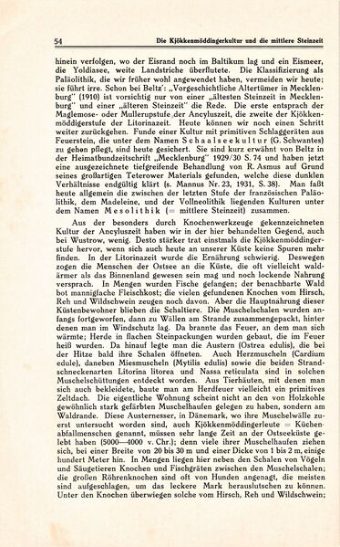 Datei:Ribnitz Kühl 054.jpg
