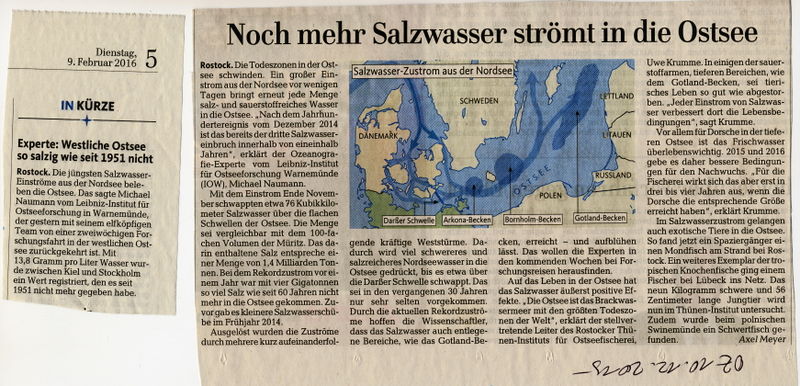 Datei:2016 Ostsee seit 1951 Salz.jpg