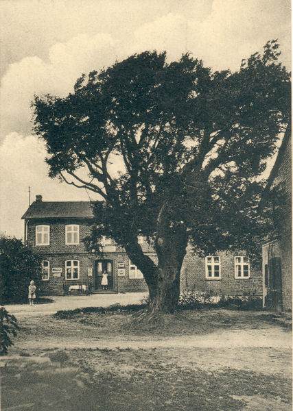 Datei:Moenchhaeger Eibe1939.jpg