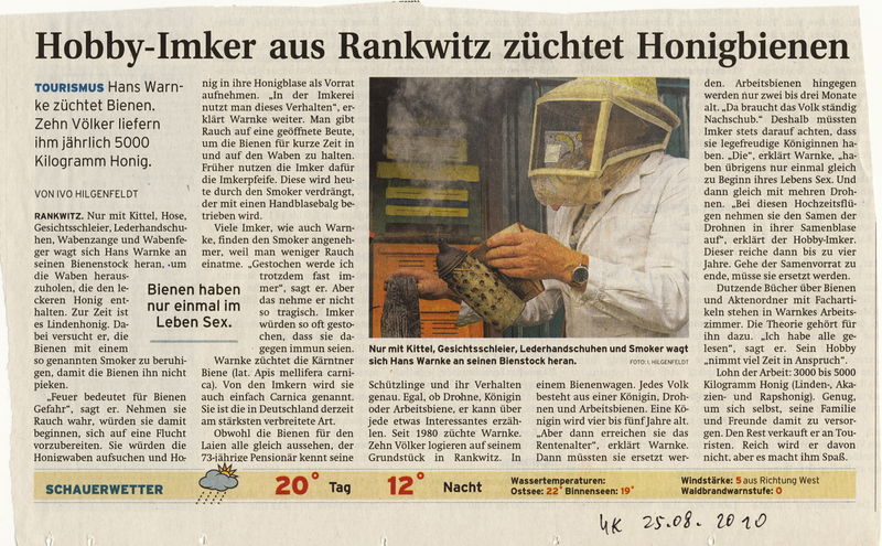 Datei:2010 Bienen.jpg