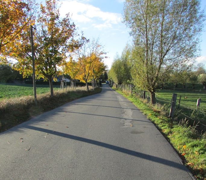 Datei:Büdnerreihe 5.jpg