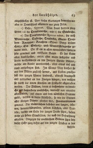 Datei:Fiedler Handbuch Forstwirtschaft 1796-072.jpg