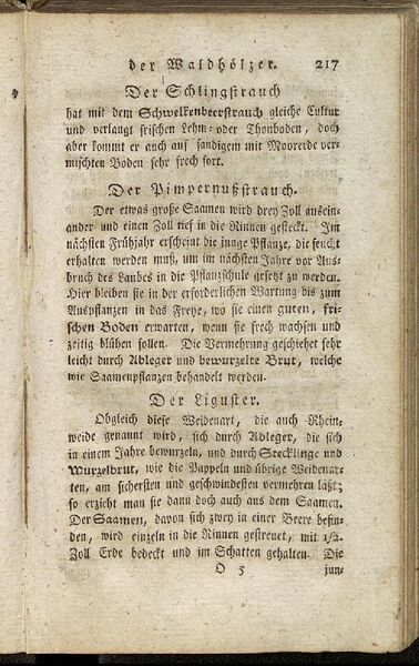 Datei:Fiedler Handbuch Forstwirtschaft 1796-226.jpg