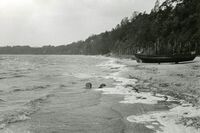 Kamminke Strand.jpg