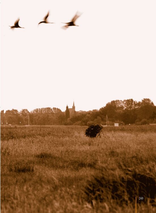 Margot Krempin Körkwitz - Chronik 1912 S249