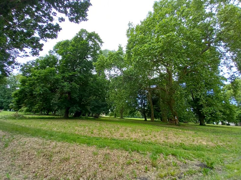 Datei:Veranstaltung-2023-Wald.jpg
