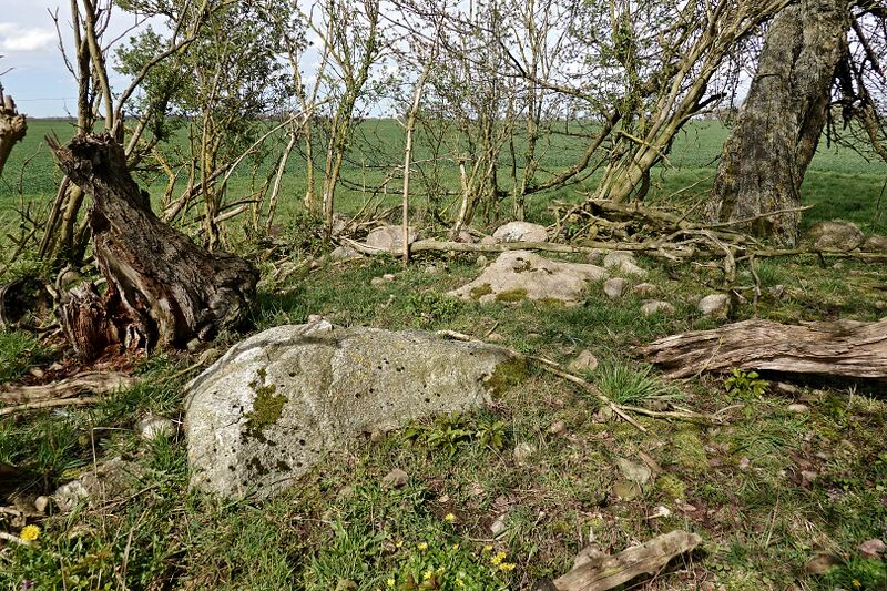 Datei:Hünengräber Groß Zastrow 6 2.jpg