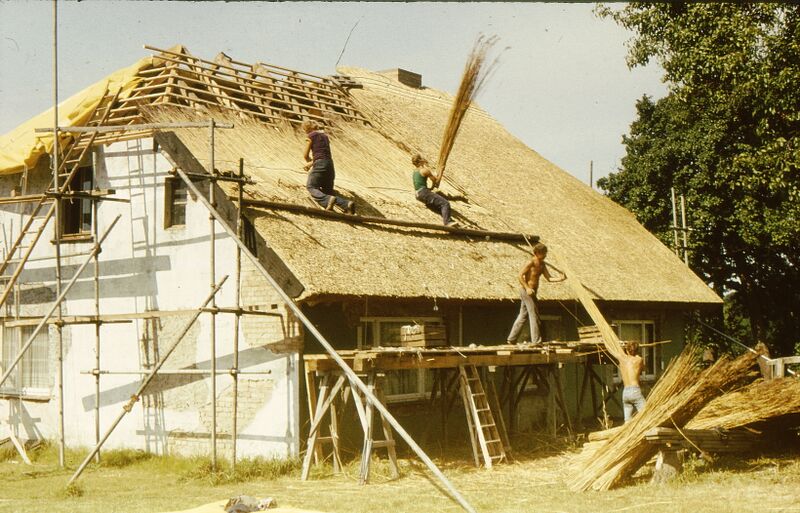 Datei:Rohrdach decken.jpg