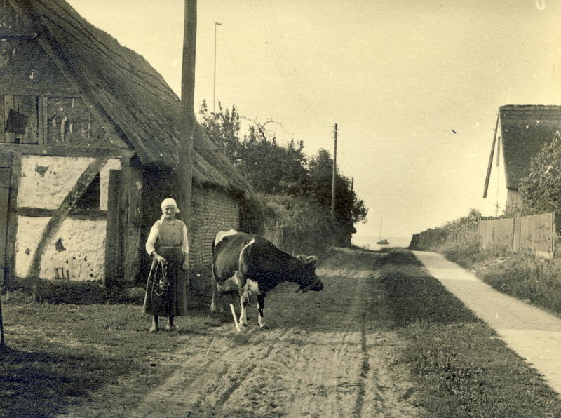 Datei:1938 Frau und Kuh.jpg