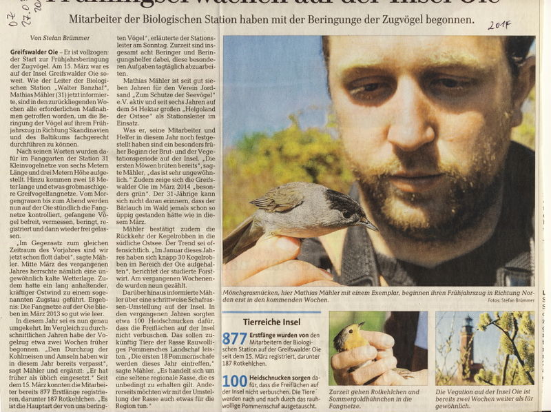 Datei:2014 Vögel Robben.jpg