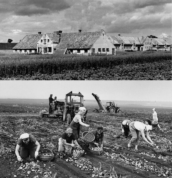 Datei:LPG Althof 1956.jpg